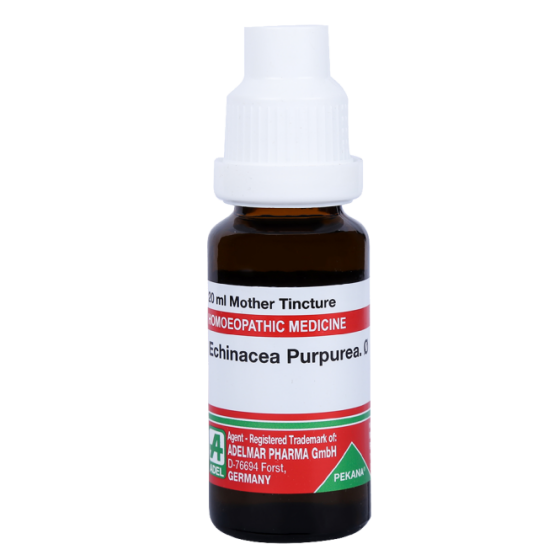 Picture of ADEL Echinacea Purpurea Mother Tincture Q - 20 ml