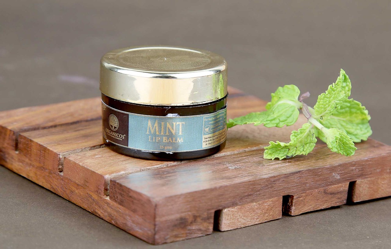 Picture of ORGANICOS MINT LIP BALM 15 GMS