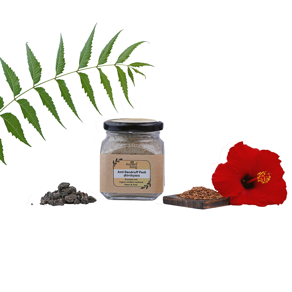 Picture of Ancient Living Anti Dandruff Pack - Jar -100ml