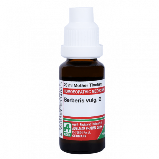 Picture of ADEL Berberis Vulg Mother Tincture Q - 20 ml