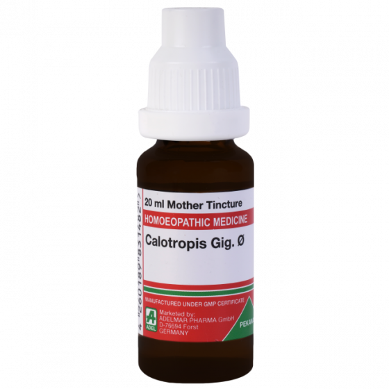 Picture of ADEL Calotropis Gig Mother Tincture Q - 20 ml