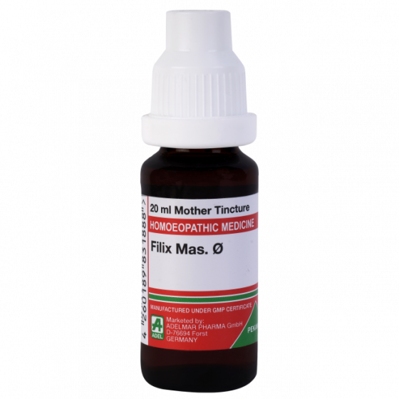 Picture of ADEL Filix Mas Mother Tincture Q - 20 ml