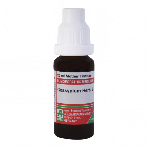 Picture of ADEL Gossypium Herb Mother Tincture Q - 20 ml