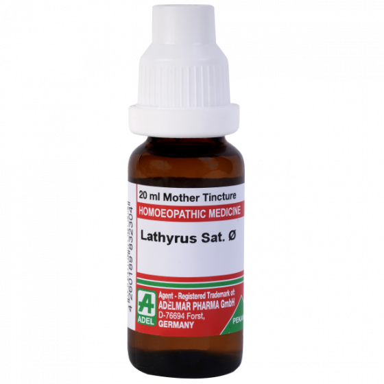 Picture of ADEL Lathyrus Sat Mother Tincture Q - 20 ml