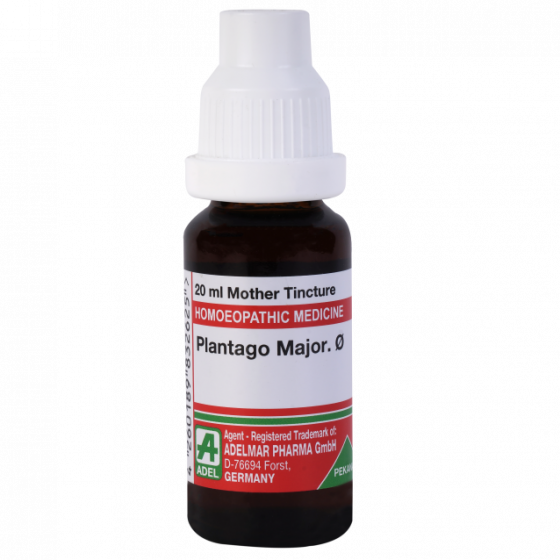Picture of ADEL Plantago Major Mother Tincture Q - 20 ml