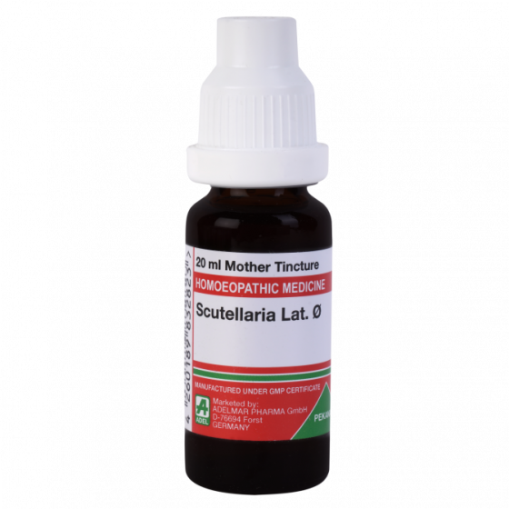 Picture of ADEL Scutellaria Lat Mother Tincture Q - 20 ml