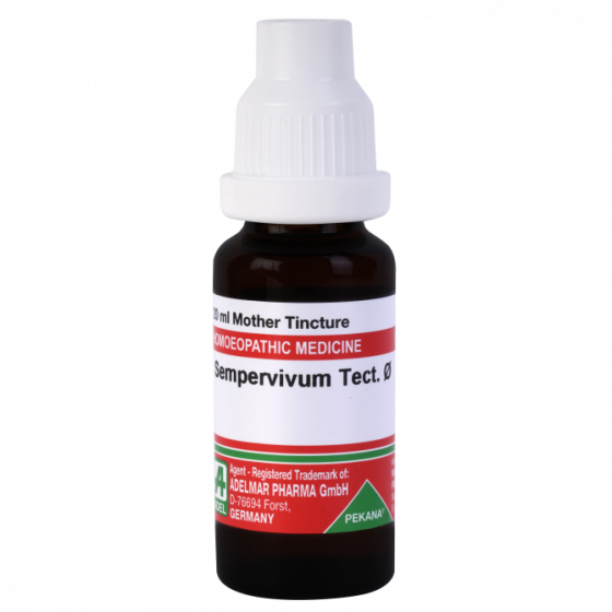 Picture of ADEL Sempervivum Tect Mother Tincture Q - 20 ml