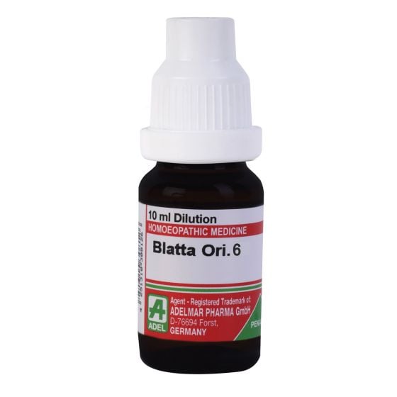 Picture of ADEL Blatta Ori Dilution - 10 ml