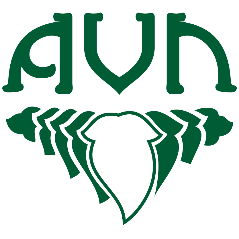 Picture for manufacturer AVN Ayurveda