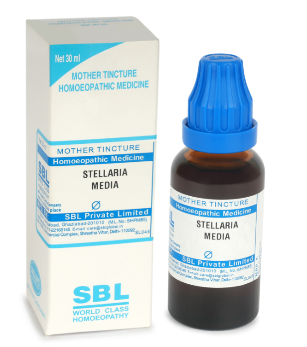 Picture of SBL Homeopathy Stellaria Media Mother Tincture Q - 30 ml