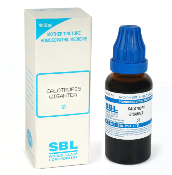 Picture of SBL Homeopathy Calotropis Gigantea Mother Tincture Q - 30 ml