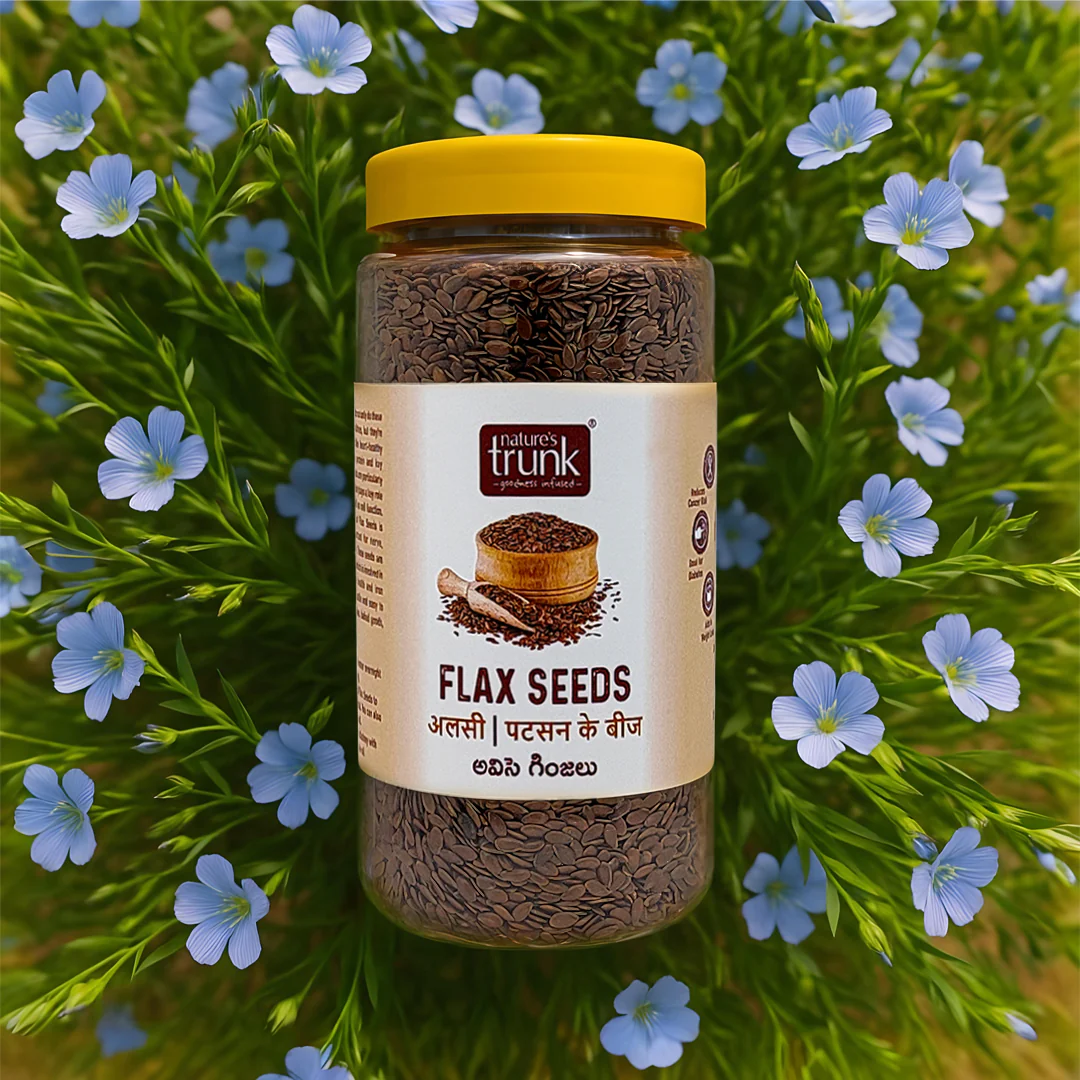 Picture of Nature's Trunk Flax Seeds - 300 Grams