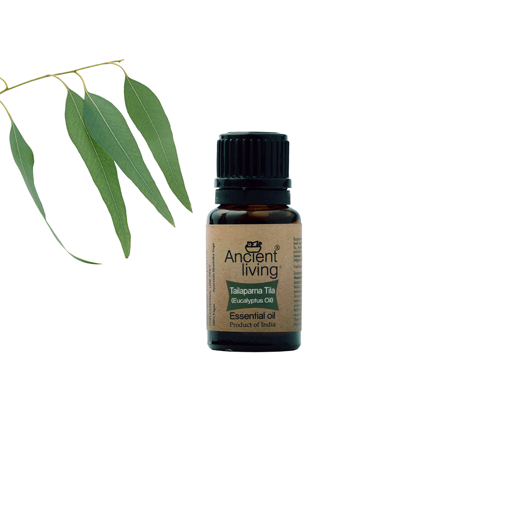 Picture of Ancient Living Eucalyptus Essential Oil - 10 ml